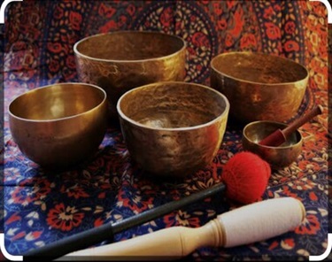 Wild Healing Image 6